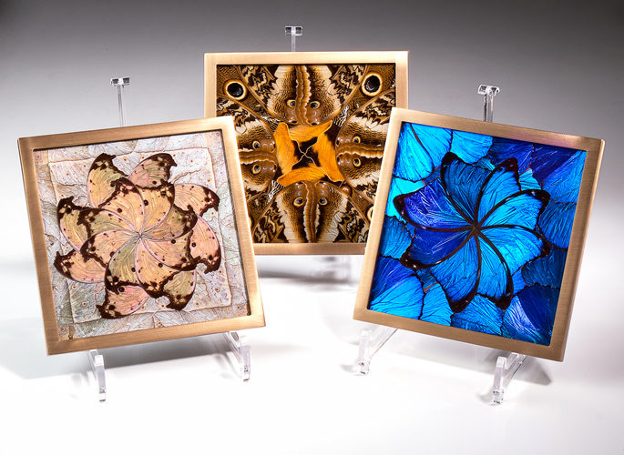 architectural glass panelling featuring butterfly wing patterns