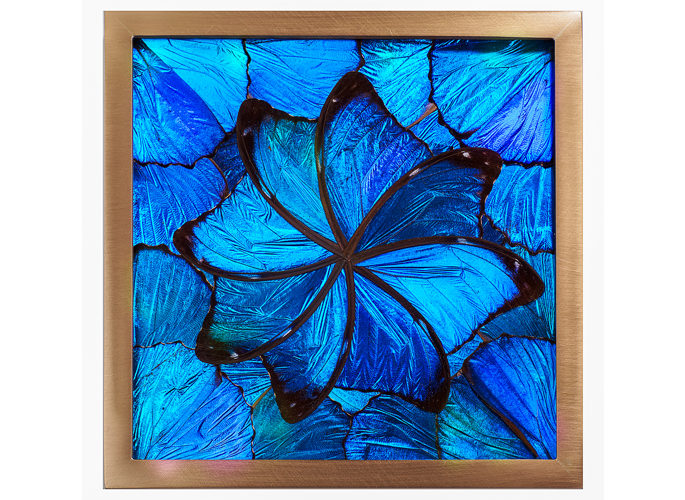 architectural glass panel with bright blue butterfly wing pattern
